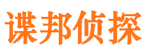 翠峦市侦探调查公司